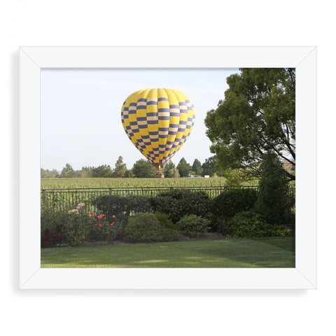 Balloon over the Napa Grapes framed print