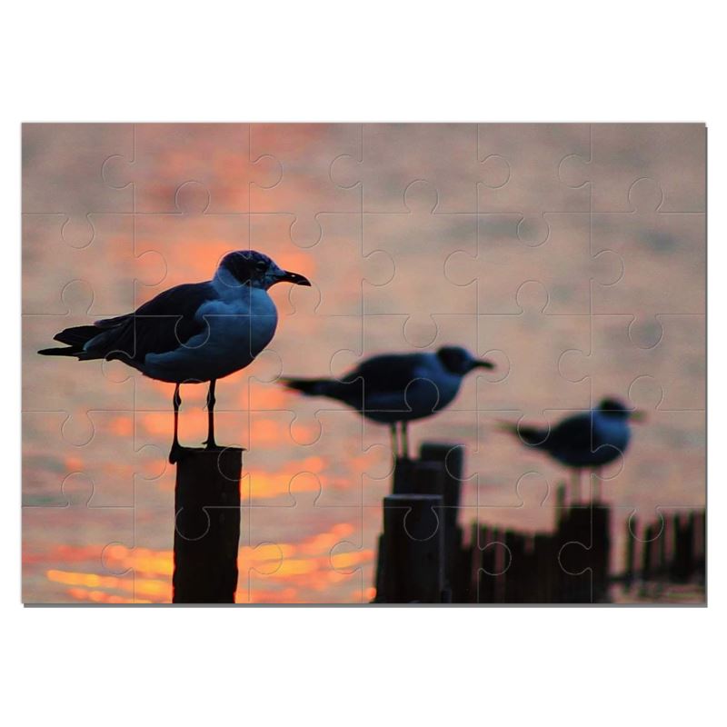 Sunset gulls jigsaw puzzle