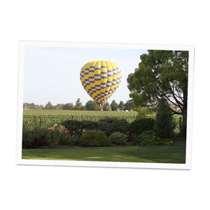 Balloon over the Napa Grapes mini poster